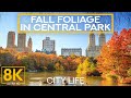 (8K UHD) Autumn in Central Park, New York - Fall Colors of the most Visited Park in the US