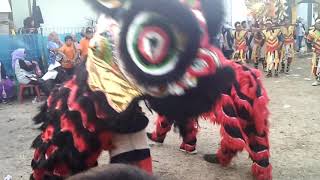 Download Lagu PBM.PUTRA BARONGSAI MUDA. LIVE KEBON SARI PAMANUKAN. Download Lagu PBM.PUTRA BARONGSAI MUDA. LIVE KEBON SARI PAMANUKAN.