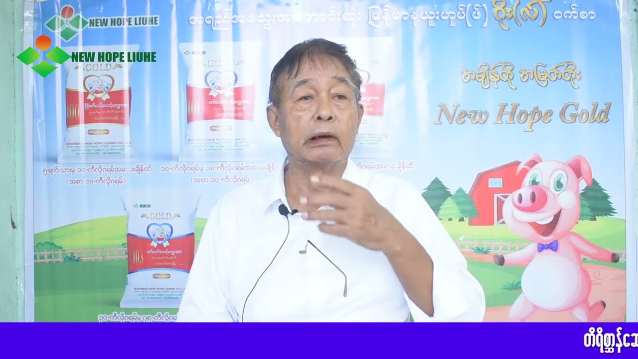 ဝက်ငယ်များတွင်ကြုံတွေ့ရတတ်သောရောဂါများအကြောင်း