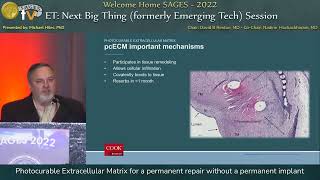 Photocurable Extracellular Matrix for a permanent repair without a permanent implant