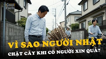 Vì sao người Nhật chặt cây khi có người xin quả? Hiểu về meiwaku, ranh giới và giải pháp tinh tế