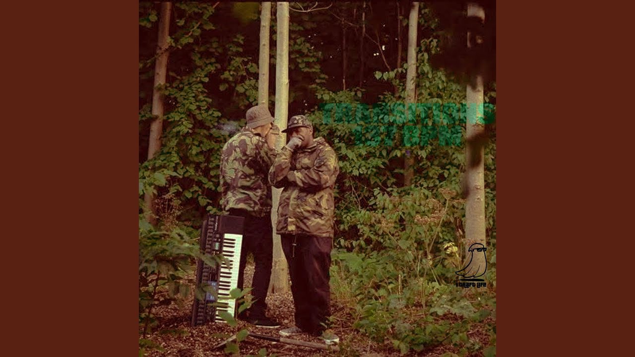 Guarda TRANSITIONS su YouTube Guarda TRANSITIONS su YouTube