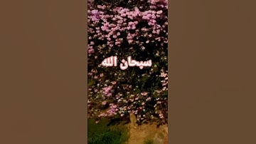 #اذكار_الصباح #سبحان_الله #سبحان #entrepreneur #emotional #entrepreneurship #حالات_واتس#حالات#status