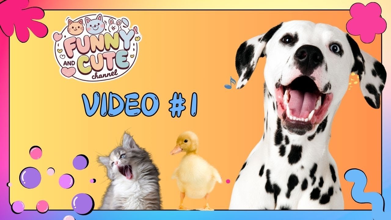 Try Not to Laugh - Funny Animals l Tente Não Rir - Animais Engraçados ...