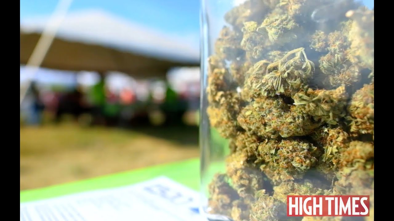 2016 Michigan Medical Cannabis Cup: Highlights