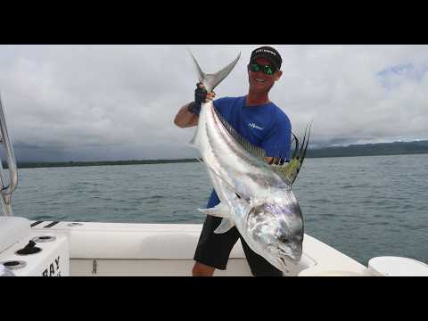 Giant Jumping Roosterfish