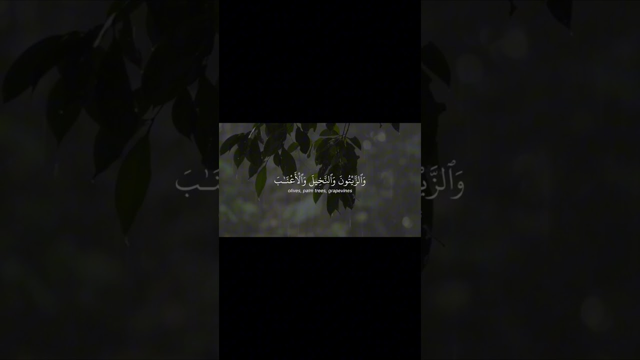 #قرآن #quran #جمعة #ياسر_الدوسري #عبد_الله_الموسى #سورة_البقرة #الكهف #الملك #تصميم