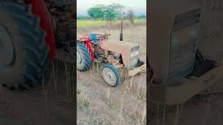 2026 milden 😂😂😂😂😂