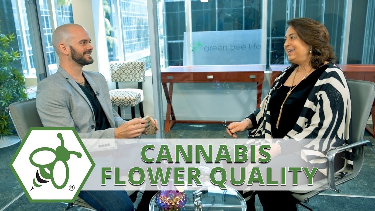 How to Grade Cannabis Flower Quality with Chef Brandon Allen