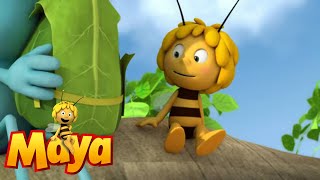 Dragonfly Express - Maya the Bee - Episode 52
