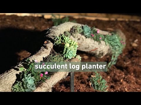 Upcycle Logs in Your Yard Into a Succulent Planter