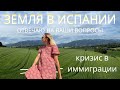 Что с землей? Как мы? Какие планы? Отвечаю на вопросы. Жизнь в эмиграции.