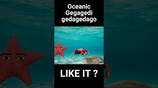 Oceanic Gegagedigedagedago #shorts