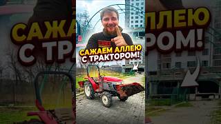 Спасибо мне 😂 спасибо за благодарность. #shorts