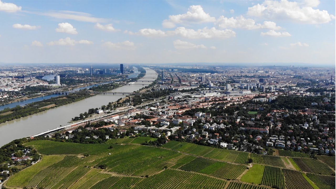 Drohnenflug über dem Nußberg in Wien 4K