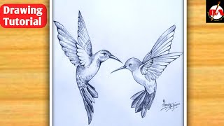 flying drawing pencil step draw birds
