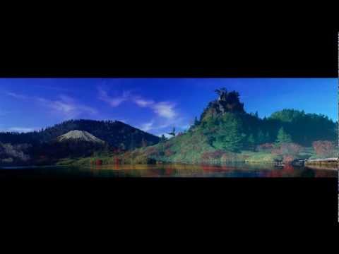 Shogun — Shogun - Reflex