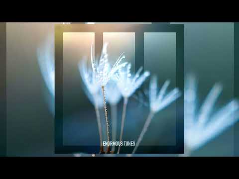 Daniel Portman - Casa Rumba ( Rework )