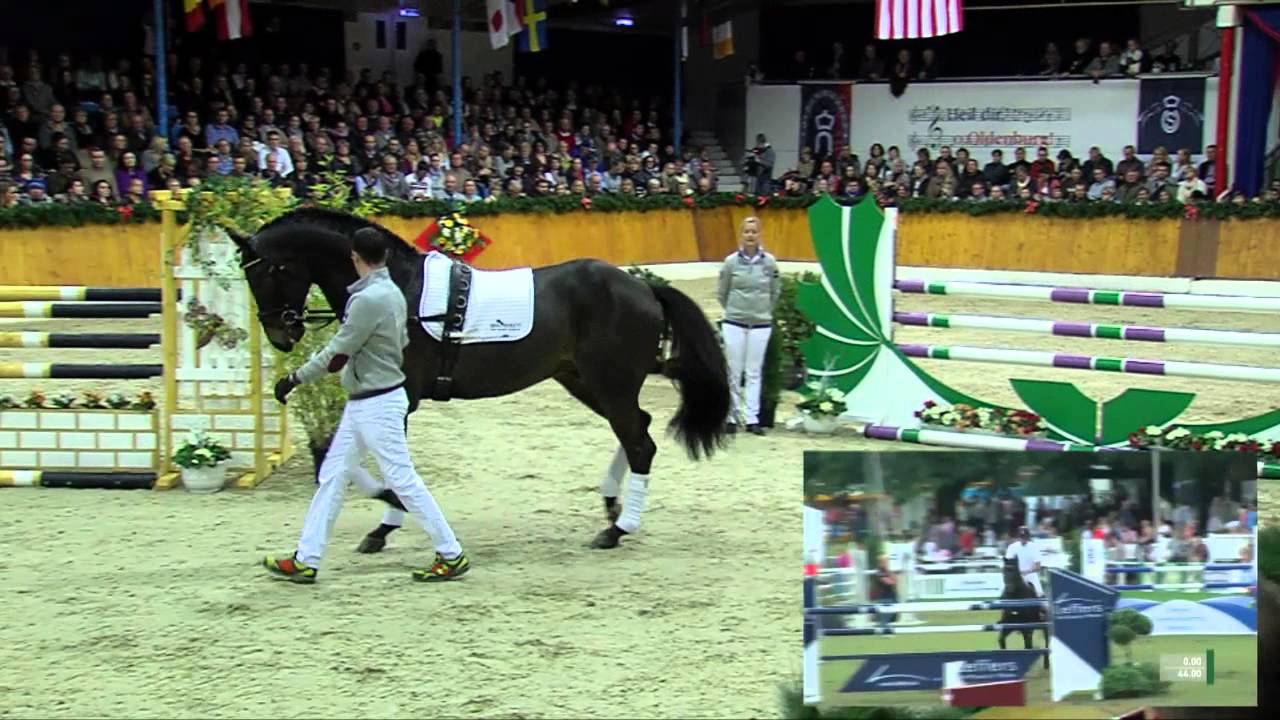 Quality *1999 by Quinar - Lantaan (Stallion Show Sosath 2015)