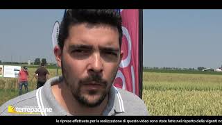 Terrepadane Vetrina Cereali 2021 - Le Sementi Apsov