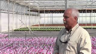 Banner Greenhouses Spring Open House 2014
