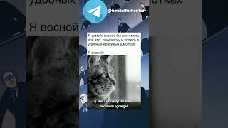 Мемы #мем #мемы #тикток #2022 #аниме #shorts #fyp #tiktok #топ #юмор #приколы #смех #лучшее #угар