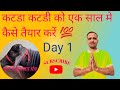 कटडा कटडी को कैसे तैयार करें#animals#farming👍farmer#shots#Pilania dairy farm