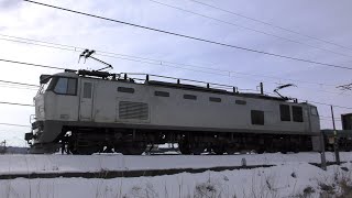 元カシオペア牽引機EF510-510牽引高速貨物【4K】4095ﾚ