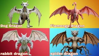A-Z animals transforms into dragon 