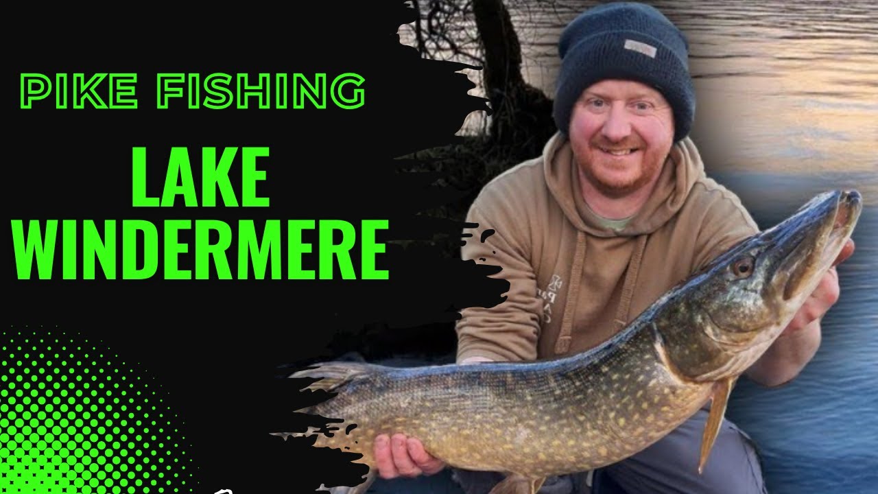 🐊PIKE FISHING AT LAKE WINDERMERE, UK PIKE FISHING