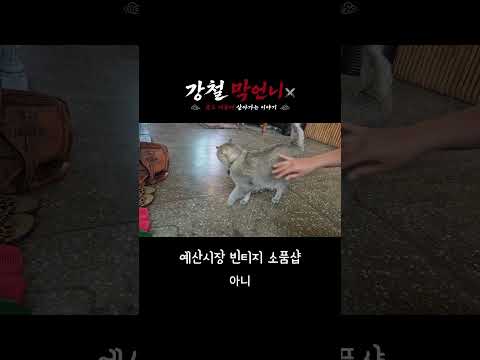 예산시장 200% 즐기는 방법#예산시장 #예산시장2탄 #예산여행 #충남여행 #전통시장 #시장투어 #문방구 #빈티지샵 #영화관 #국내여행 #쇼츠 #shorts #강철막언니