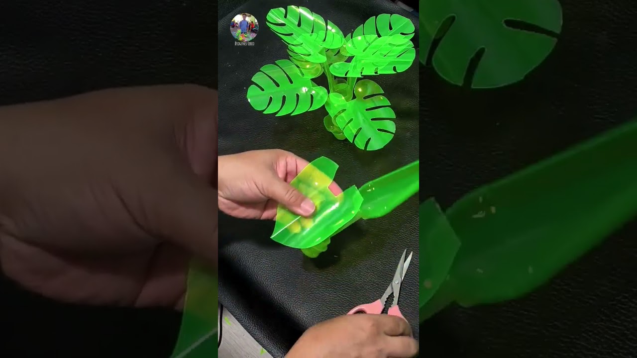 monstera plant using mountain dew bottle best out of waste/upcycling reuse reduce recycle