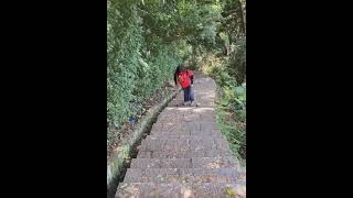 Handicapped Woman Climbing Stairs.