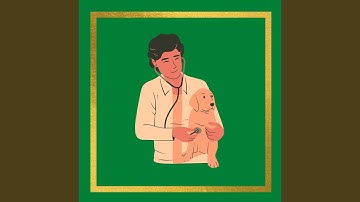 Marvellous Backdrops for Lazy Doggo