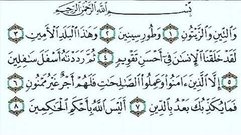 سورة التين بأداء رائع لفضيلة الشيخ الطبلاوي 