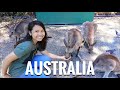 Filipina's FIRST TIME to see KANGAROOS in AUSTRALIA