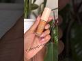 Best concealer || Colorpop fresh concealer review