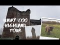 1 Day tour in scotland - Hairy coo free tour | Things to do in Scotland for free #hairycoo #scotland
