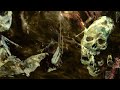 Capture de la vidéo Spectral Voice - Sinew Censer (Dark Descent Records 2024)