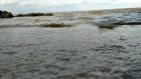 sunset di tepi pantai (no copyright) video.