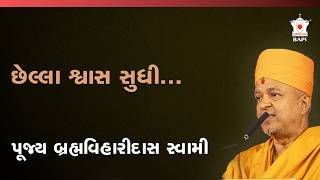 સત્સંગમાં વફાદારી | પૂજ્ય બ્રહ્મવિહારી સ્વામી | BAPS Satsang Katha
