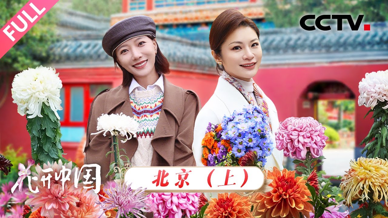 【Full】它被誉为“花中四君子”之一，来自清代的菊花品种惊艳现身！冬日探访团漫步北京，开启寻菊之旅 | CCTV「花开中国」20251130 第5期