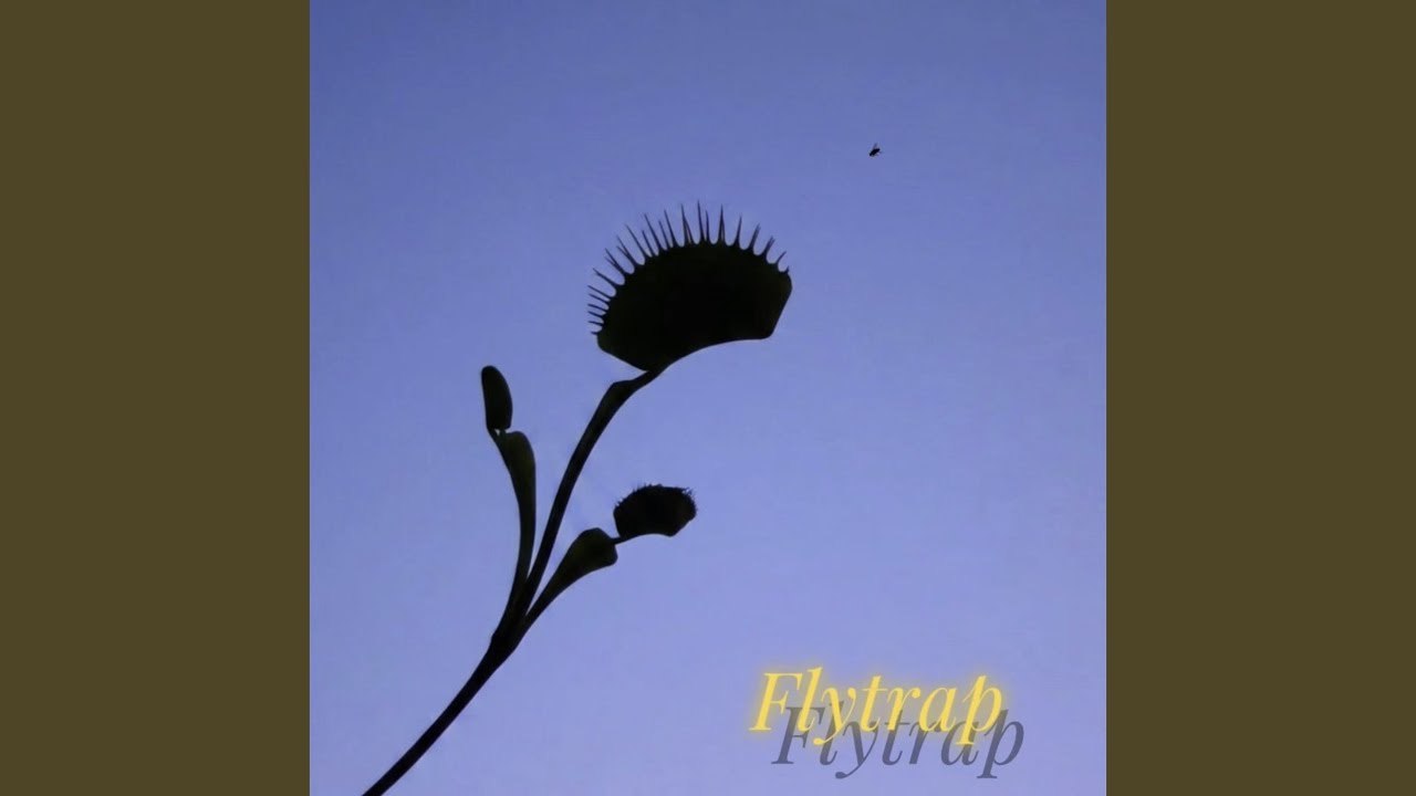 Watch Flytrap on YouTube Watch Flytrap on YouTube