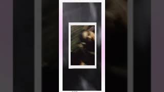 Oye Zaheer Jharpuriya