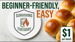 Cheap & Easy Yeast Rolls Anyone Can Make. 