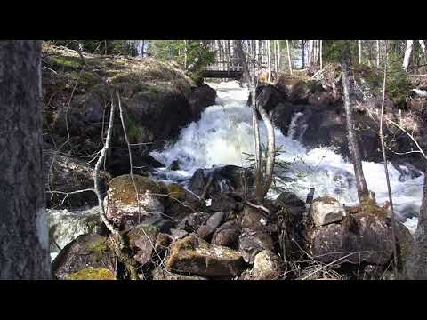 Video: Onko olemassa vanhainkoteja veteraaneille?