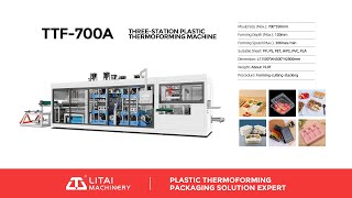 Automatic Pp Ps Take Away Food Box With Lid Making Machine