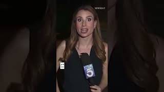 Κατσαρίδα σκαρφαλώνει στον λαιμό δημοσιογράφου σε live μετάδοση| NEWS 24/7