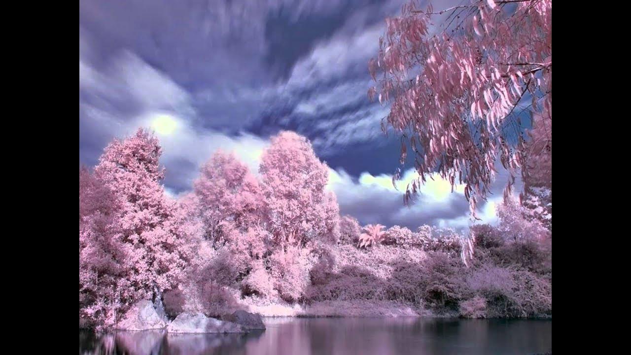 Doris Day Fly Me To The Moon Doris Day - Fly Me To The Moon - YouTube