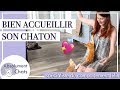 Arrivée de chaton à la maison: conseils de pro bien accueillir son chaton